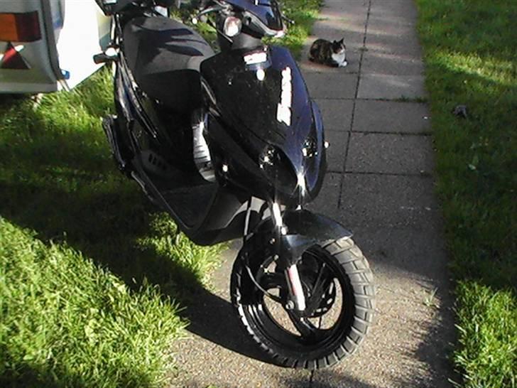 PGO Tornado billede 5