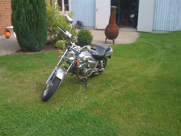 Jincheng Knight (Solgt) billede 7