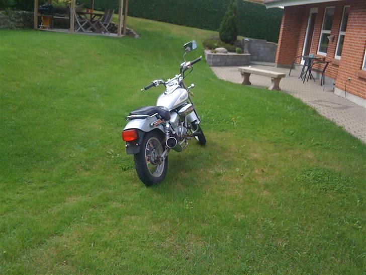 Jincheng Knight (Solgt) billede 10