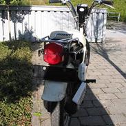 Suzuki fz50 SOLGT