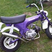 Honda ST50 DAX