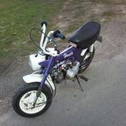 Honda ST50 DAX
