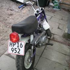 Honda ST50 DAX