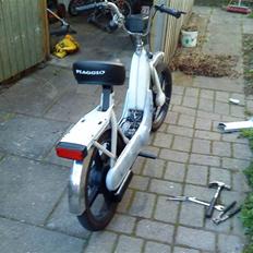 Vespa [ Polini ] Ciao P (årg B)