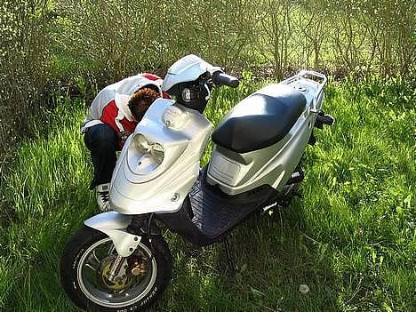 PGO Hot 50 solgt billede 2