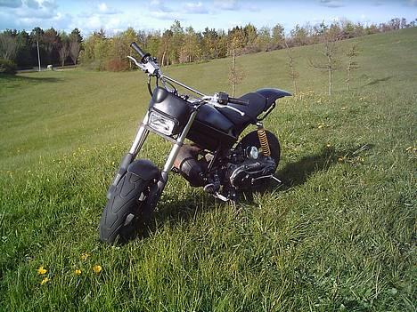 Suzuki street magic (SOLGT) - fed vinkel billede 2