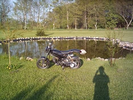 Suzuki street magic (SOLGT) - sø & street billede 10