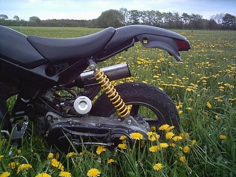 Suzuki street magic (SOLGT) - tja billede 17