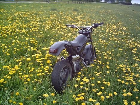 Suzuki street magic (SOLGT) - røven billede 18