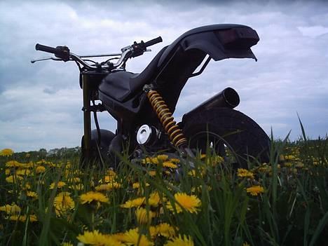 Suzuki street magic (SOLGT) - hhmmm billede 19