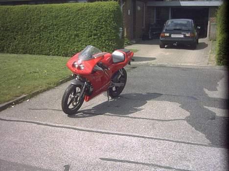 Cagiva Mito "Ducati'en" billede 2