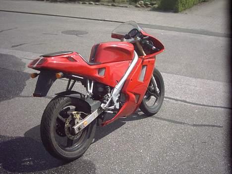 Cagiva Mito "Ducati'en" billede 6