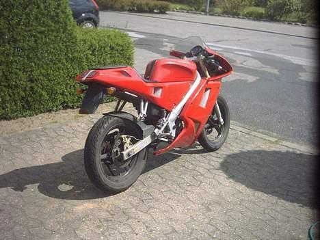 Cagiva Mito "Ducati'en" - Fræk røv - minder utrolig meget om en Ducati :) billede 10