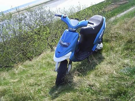 Gilera stalker(byttet til jog) billede 2