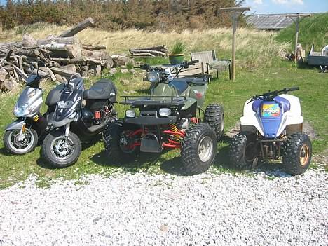 Gilera stalker  SOLGT - Fra højre: 80cc suzuki crosser. 250cc Kongfu Crosser. Stalker. Jog R hele min lille samling bort set fra monza;) billede 7