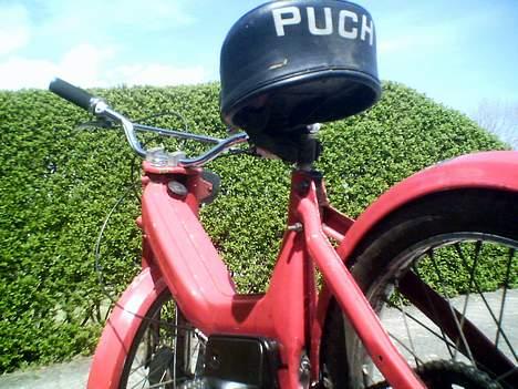 Puch maxi k (solgt) - dejlig vinkel !!! billede 6