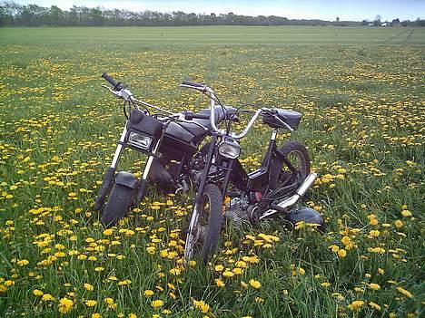 Puch puchi 2g   byttet til jog - min Maxi og kevin´s ssm:p billede 4