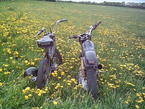 Puch puchi 2g   byttet til jog - bag fra. billede 5