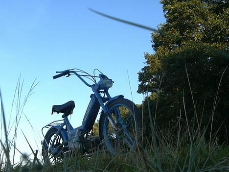 Puch Maxi K -:SOLGT:- billede 8