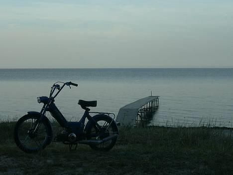 Puch Maxi K -:SOLGT:- billede 12