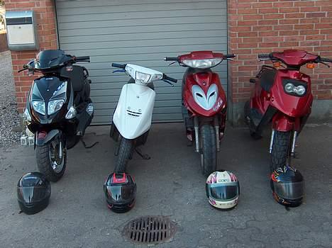 PGO dr big - dr big er så min jog er ruben og fox er s og hot er min  billede 4