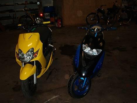 Honda SFX - SFX´en og tomme´s jogR billede 6