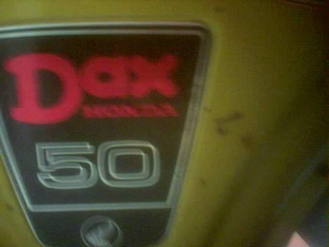 Honda Dax St 50 billede 5