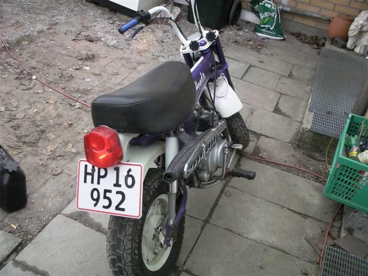 Honda ST50 DAX billede 1