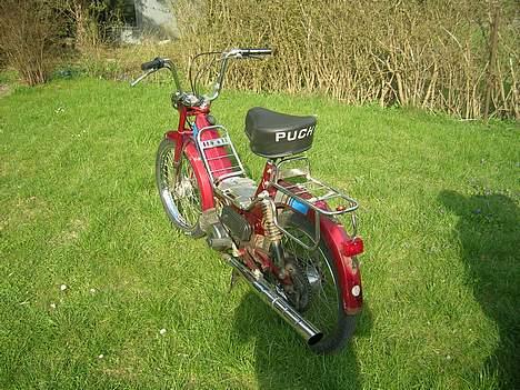 Puch Maxi SOLGT billede 6