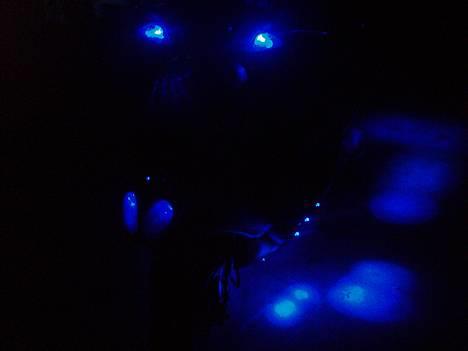 Piaggio NRG Mc 3 Solgt - Her!! er så min fjernbetjening til at tænde & slukke mit lys billede 12