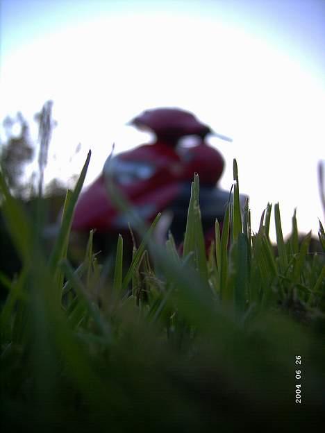 Honda SFX (Ferrari Rød) :D billede 8