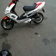 Peugeot speedfight 2 R-CUP
