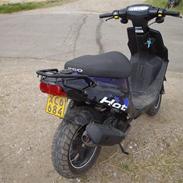 PGO Hot 50