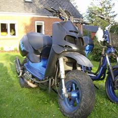 Aprilia Rally *VIOLA* EVO LC SALG