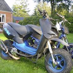 Aprilia Rally *VIOLA* EVO LC SALG