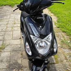 Giantco G-buddy BYTTES 