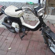Suzuki fz50 (SOLGT)