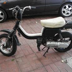 Suzuki fz50 (SOLGT)