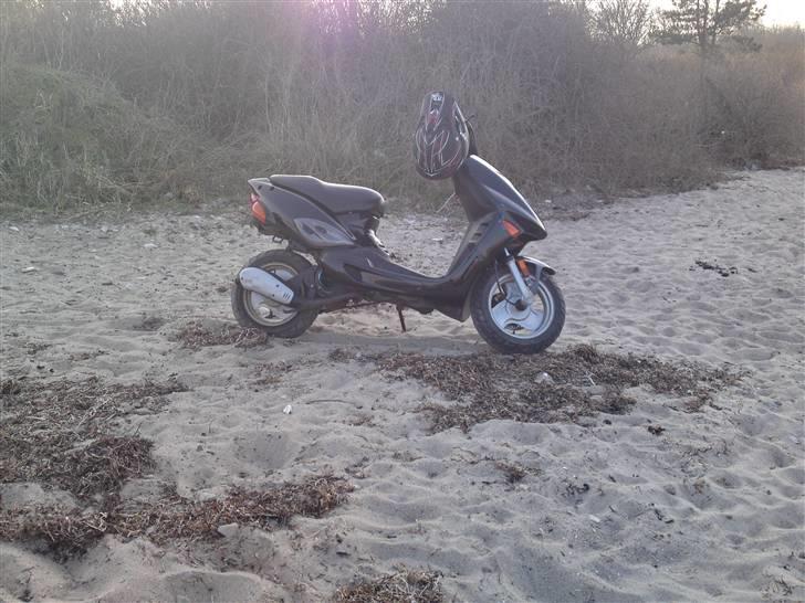 Adly TMP gazelle AC Solgt billede 2