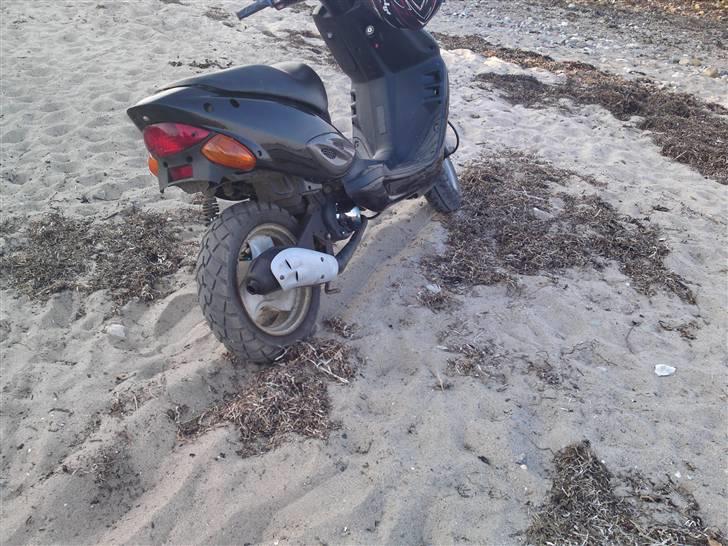 Adly TMP gazelle AC Solgt billede 3