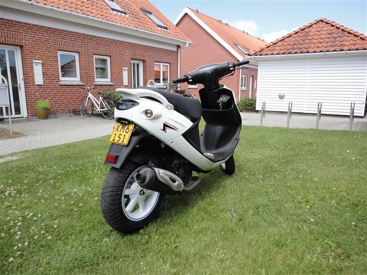 PGO White magic 110 ccm  billede 3