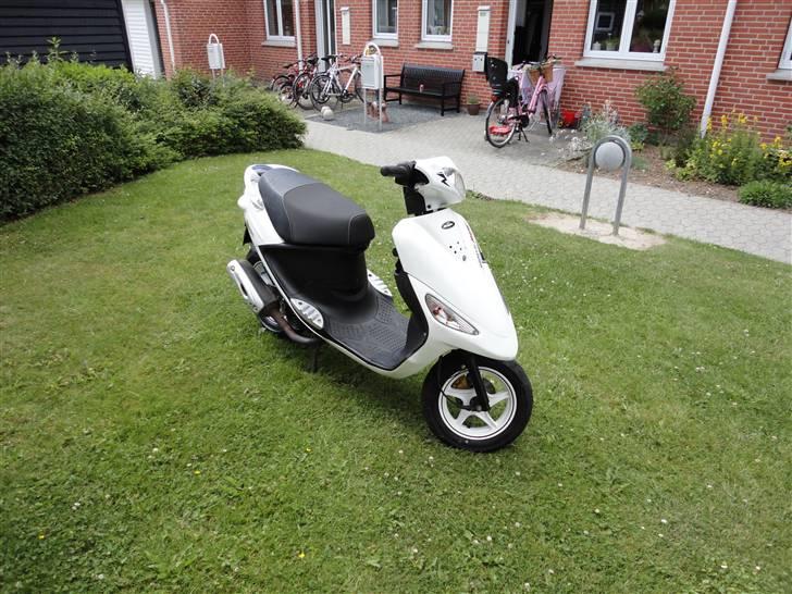 PGO White magic 110 ccm  billede 4
