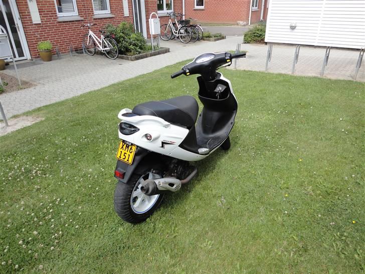 PGO White magic 110 ccm  billede 6
