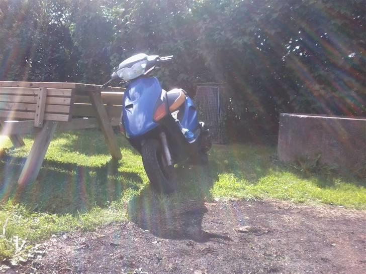 Honda sfx :byttet: billede 2