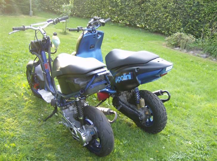 Aprilia Rally *VIOLA* EVO LC SALG billede 12