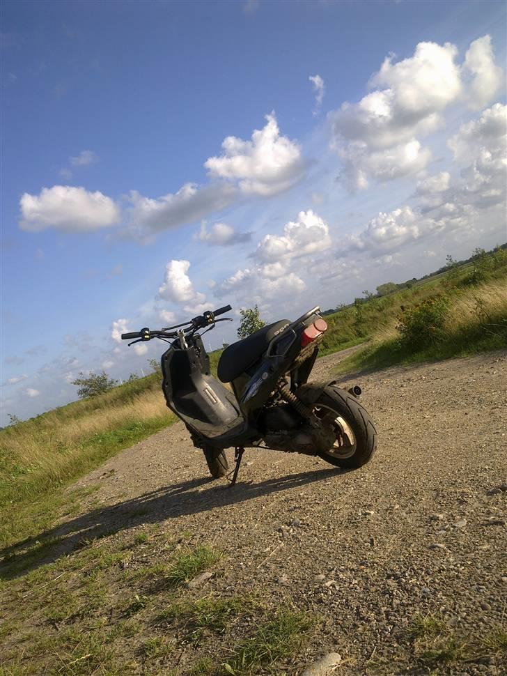 PGO hot 50 solgt billede 2