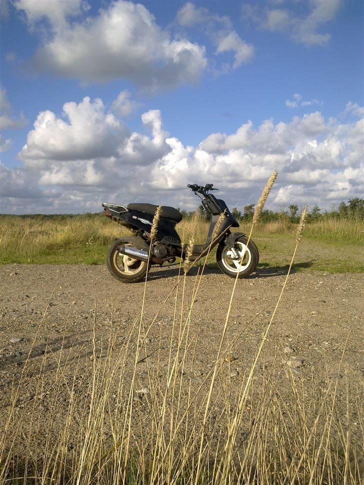 PGO hot 50 solgt billede 3