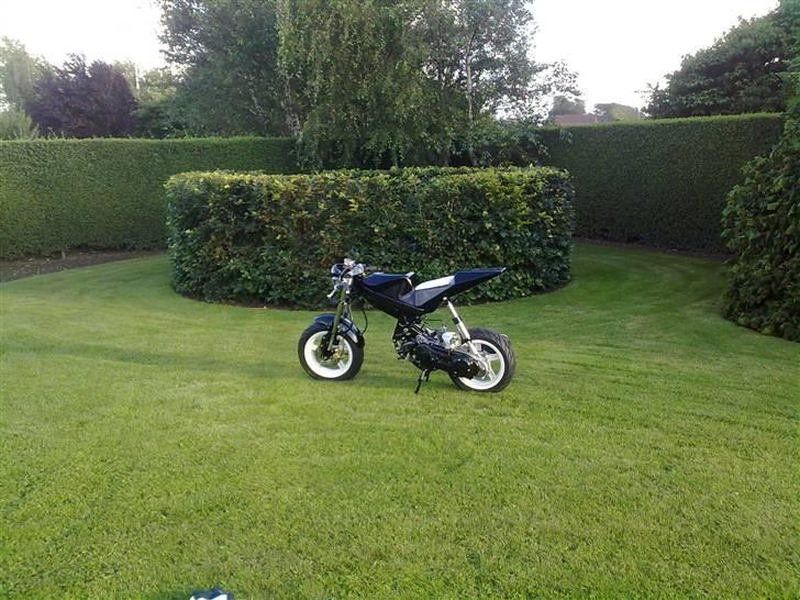 Suzuki Street Magic billede 1