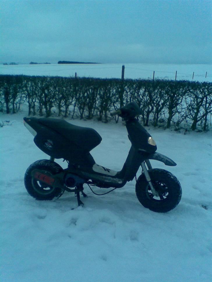 Aprilia rally solgt billede 14