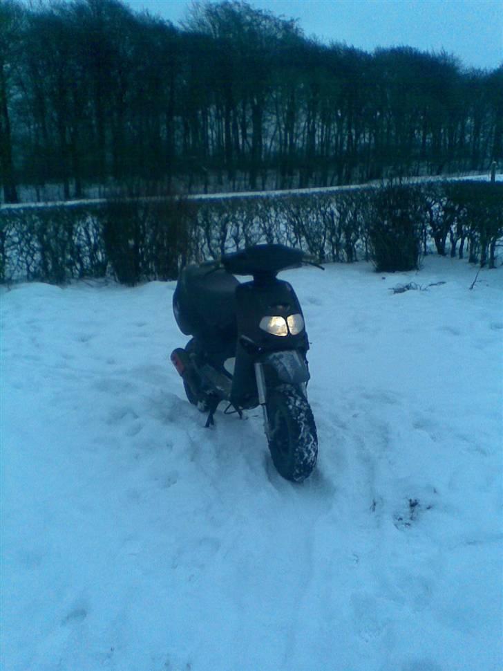 Aprilia rally solgt billede 17